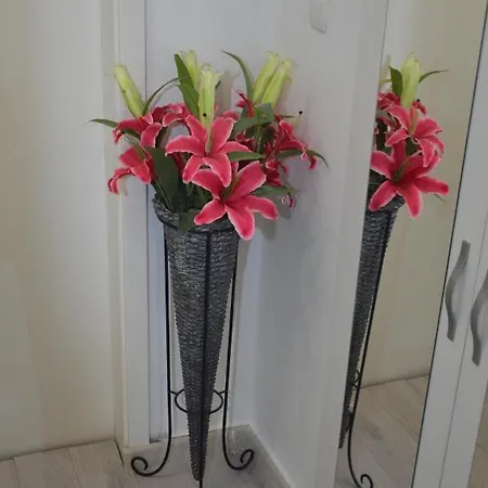 アパート Ivan & Niko