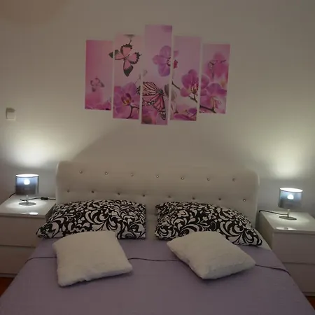 Ivan & Niko シベニク