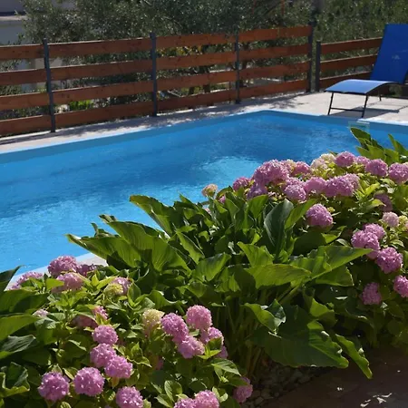 Ivan & Niko アパート *