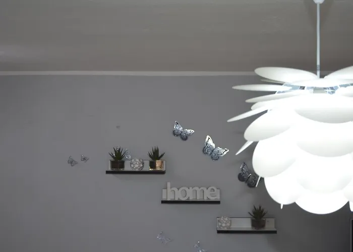 Ivan & Niko Šibenik