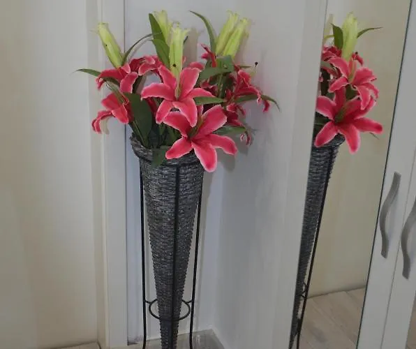 Апартаменты Ivan & Niko