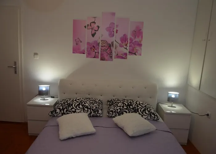 Ivan & Niko Шибеник